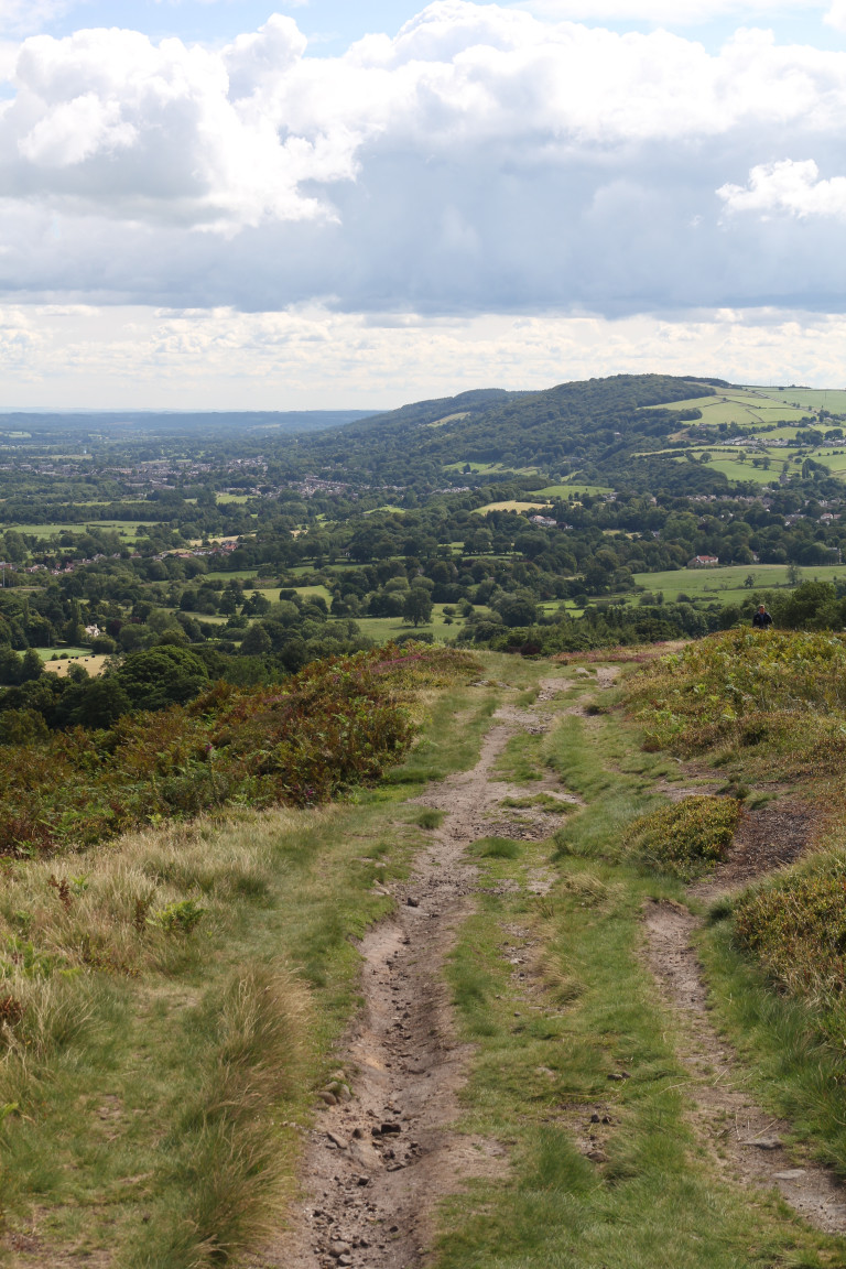 The Chevin from Burley Moor